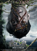 最新抖抈探探所有版本app合集